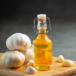Garlic Root Extract