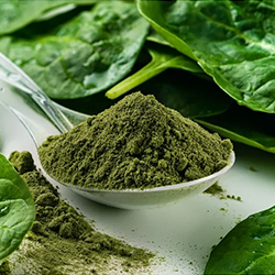 Spinach Whole Plant Powder