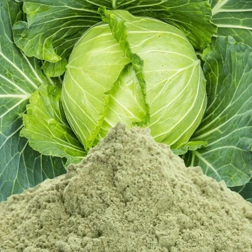 Cabbage Leaf Powder