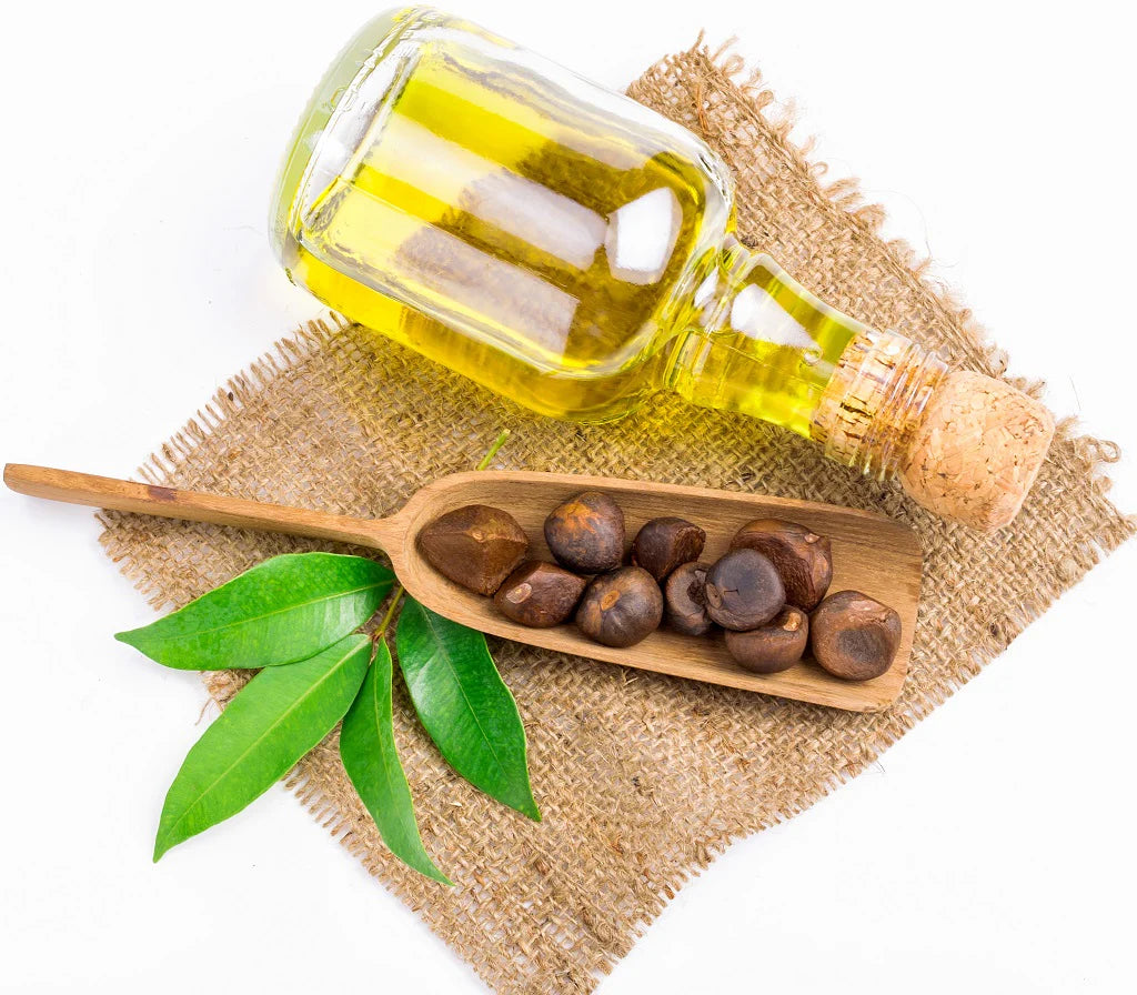 Camellia Oleifera Seed Oil