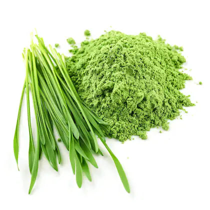 Organic Barley Grass Powder
