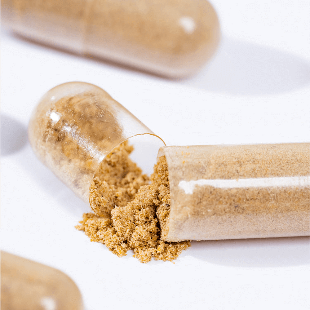 Organic Cordyceps Mycelium Powder