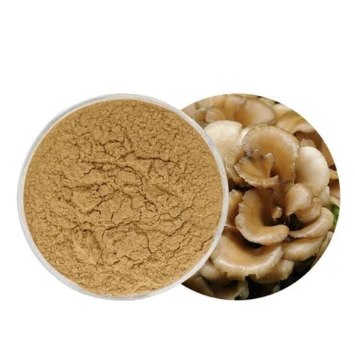 Organic Maitake Mushroom Fruiting Body Powder
