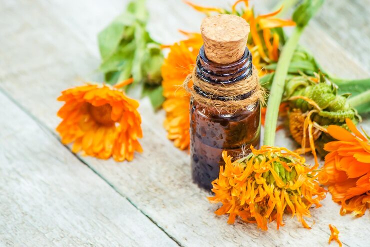 Arnica Montana (Arnica Flower) Extract