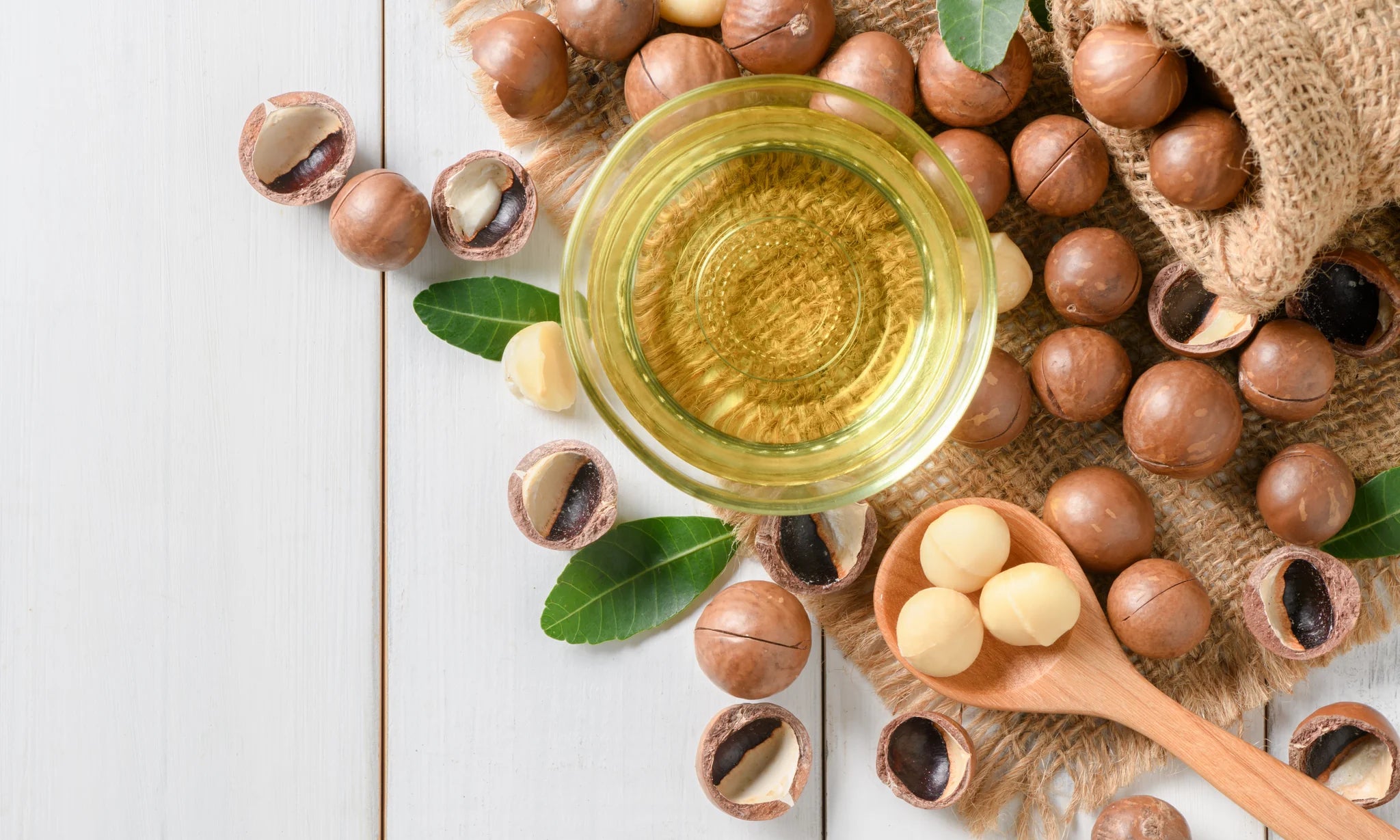 Macadamia Ternifolia Seed Oil